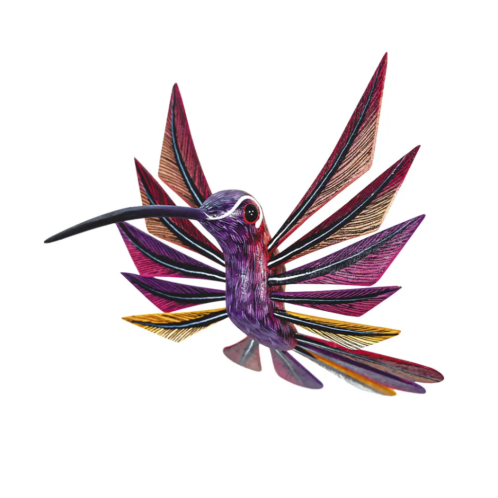 COLIBRI--D-2.webp
