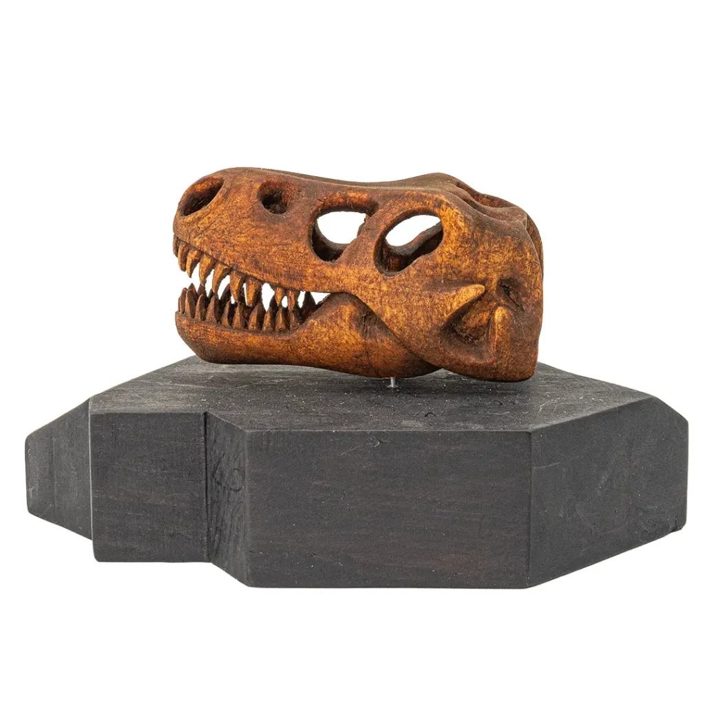 [CRANEO DE TIRANOSAURUS REX #20, TALLA DE MADERA 10 cm (Alto) x 17 cm (Ancho) x 13 cm (Profundidad)] TYRANNOSAURUS REX SKULL #23