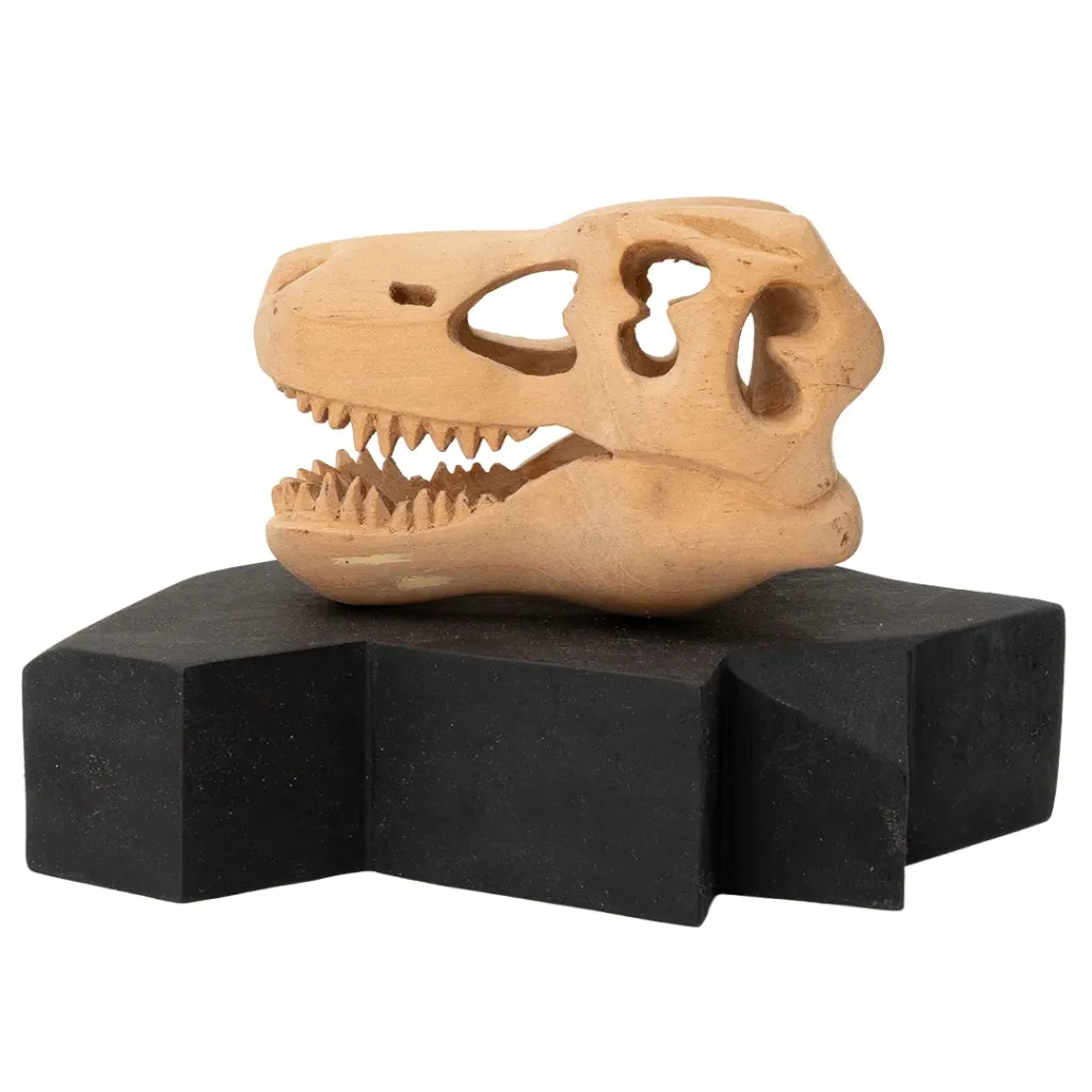 [CRANEO DE VELOCIRAPTOR #24 PANGEA EXTINTO 2026 TALLA DE MADERA 10.5 cm (Alto) x 17.5 cm (Ancho) x 12 cm (Profundidad)] CRANEO DE VELOCIRAPTOR #24 PANGEA EXTINTO 2026