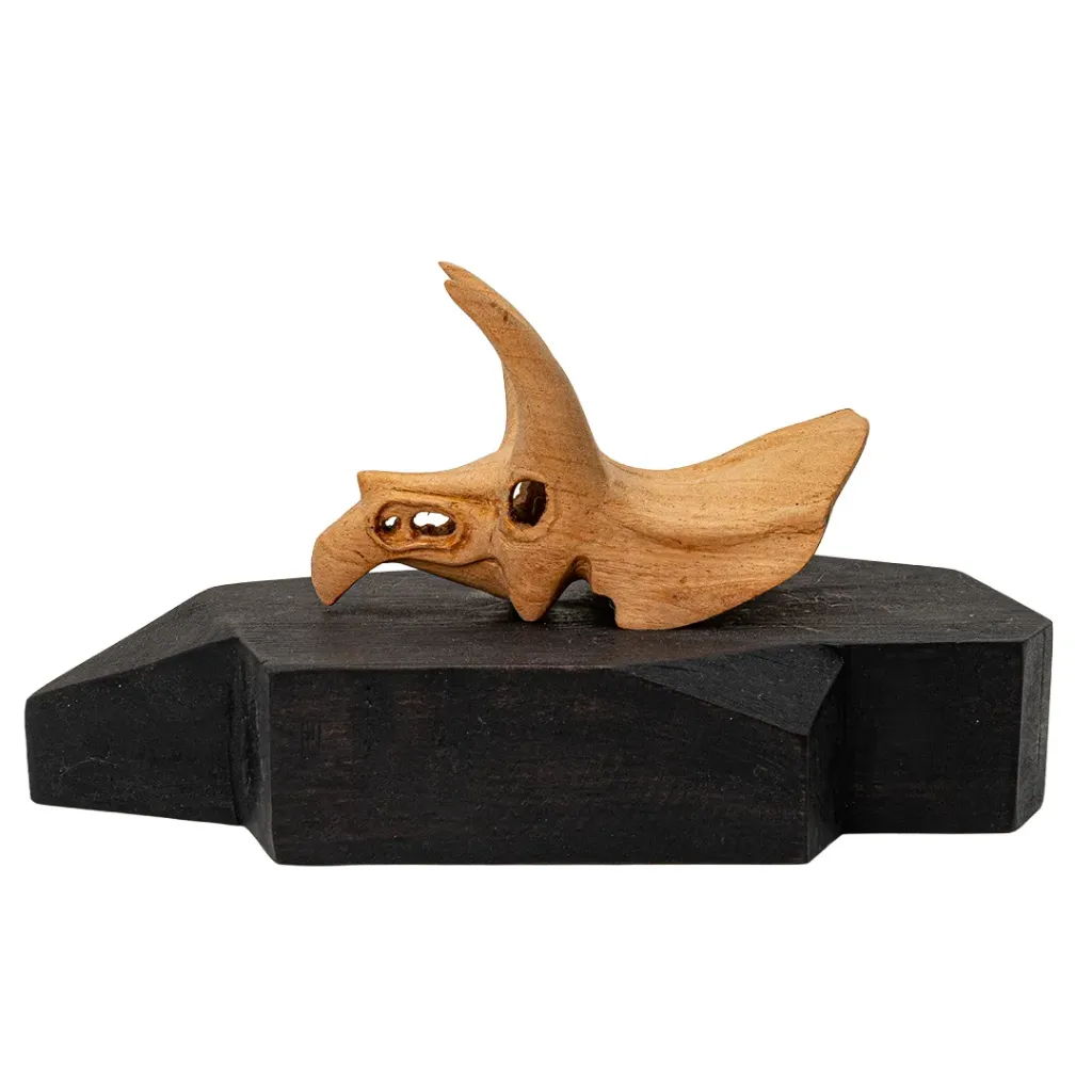 TRICERATOPUS SKULL #26