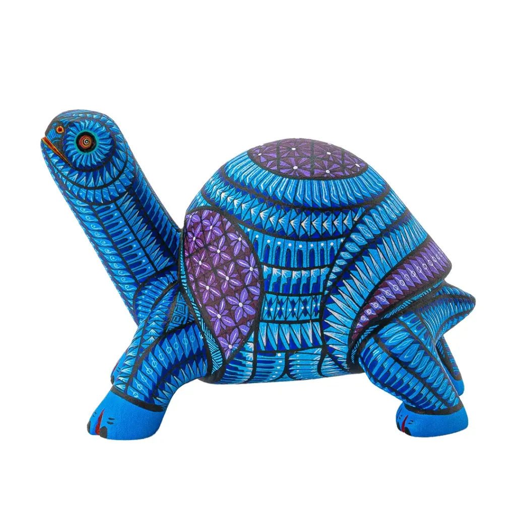 TORTUGA #21 2026