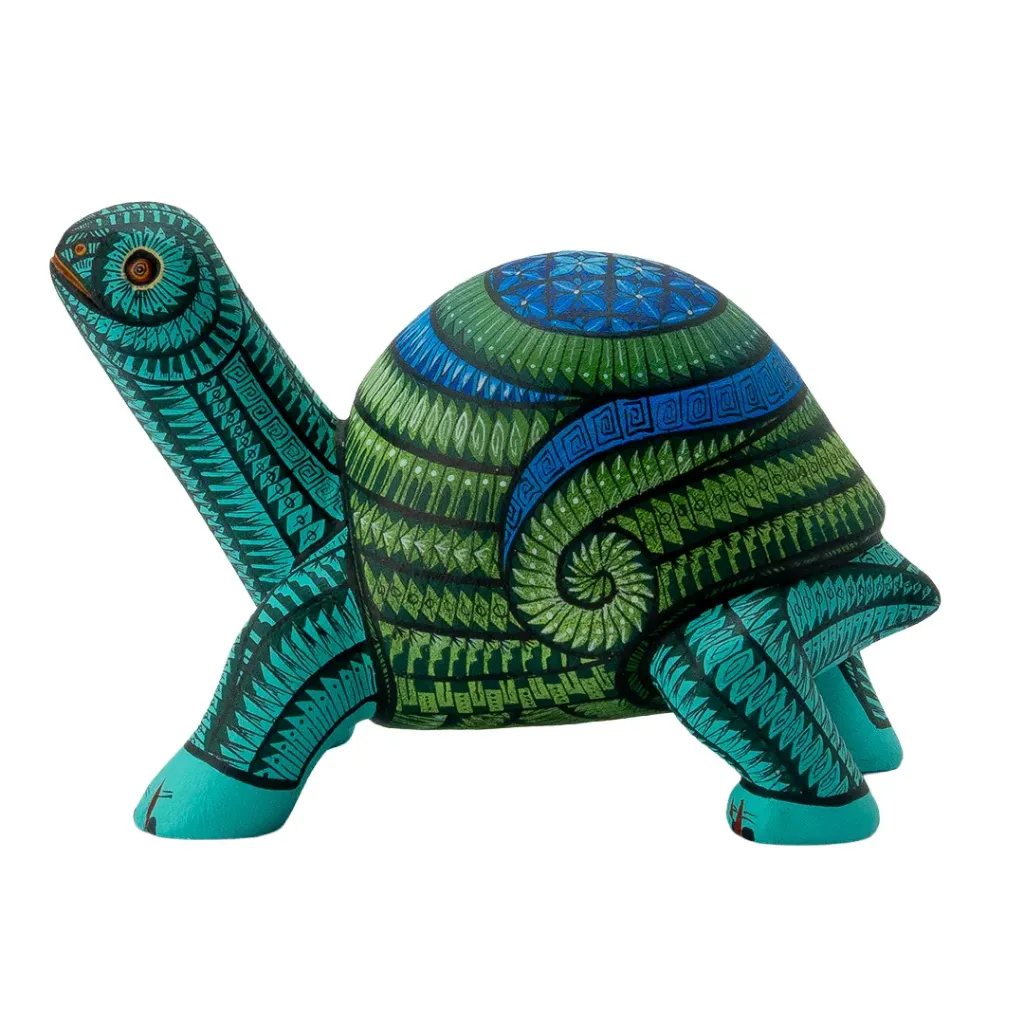 TORTUGA #29 2026