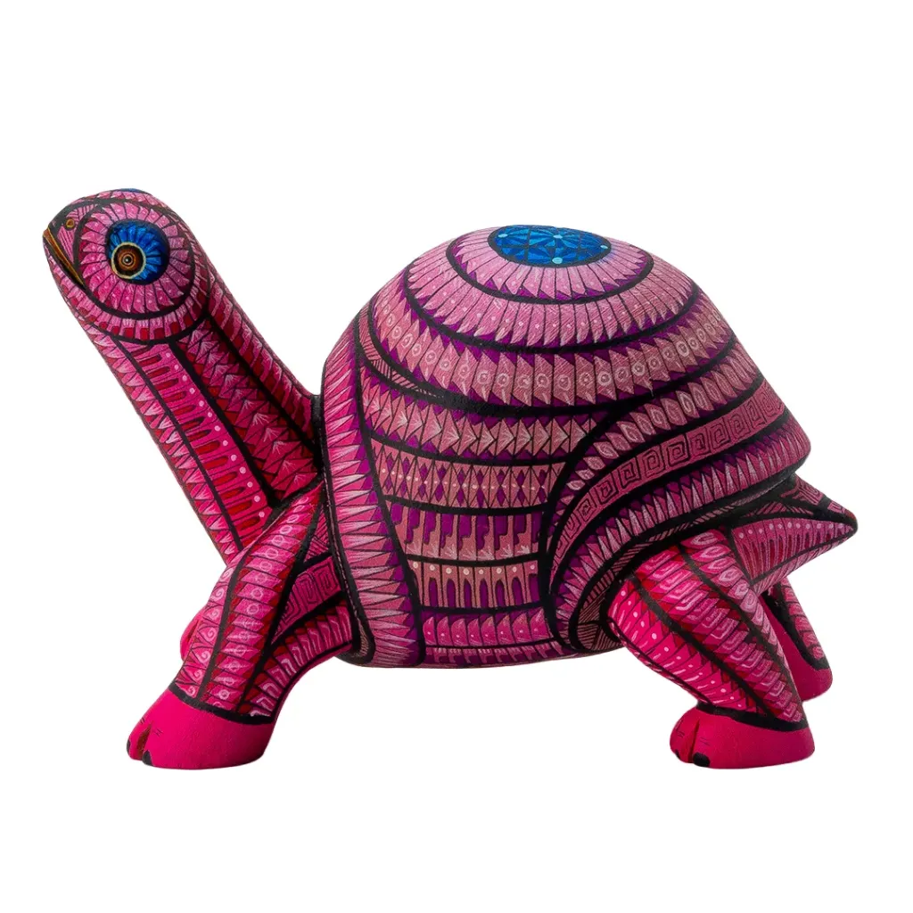 TORTUGA #30 2026