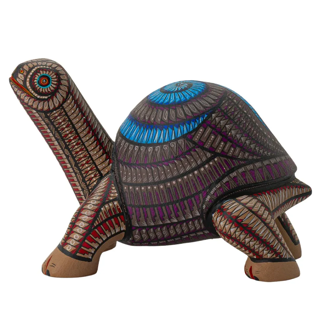 TORTUGA #31 2026
