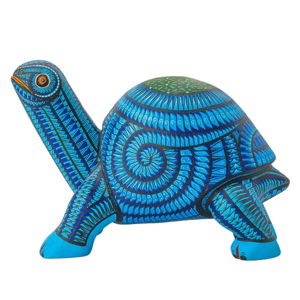 TORTUGA #33 2026