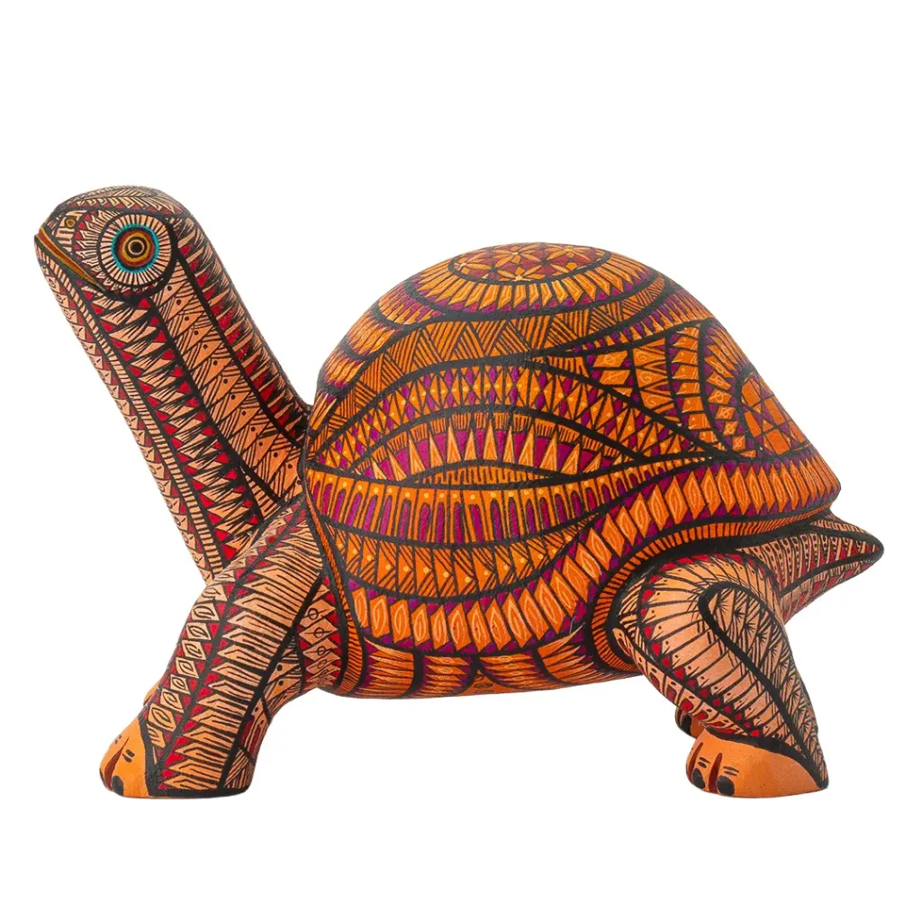TURTLE #34 2026