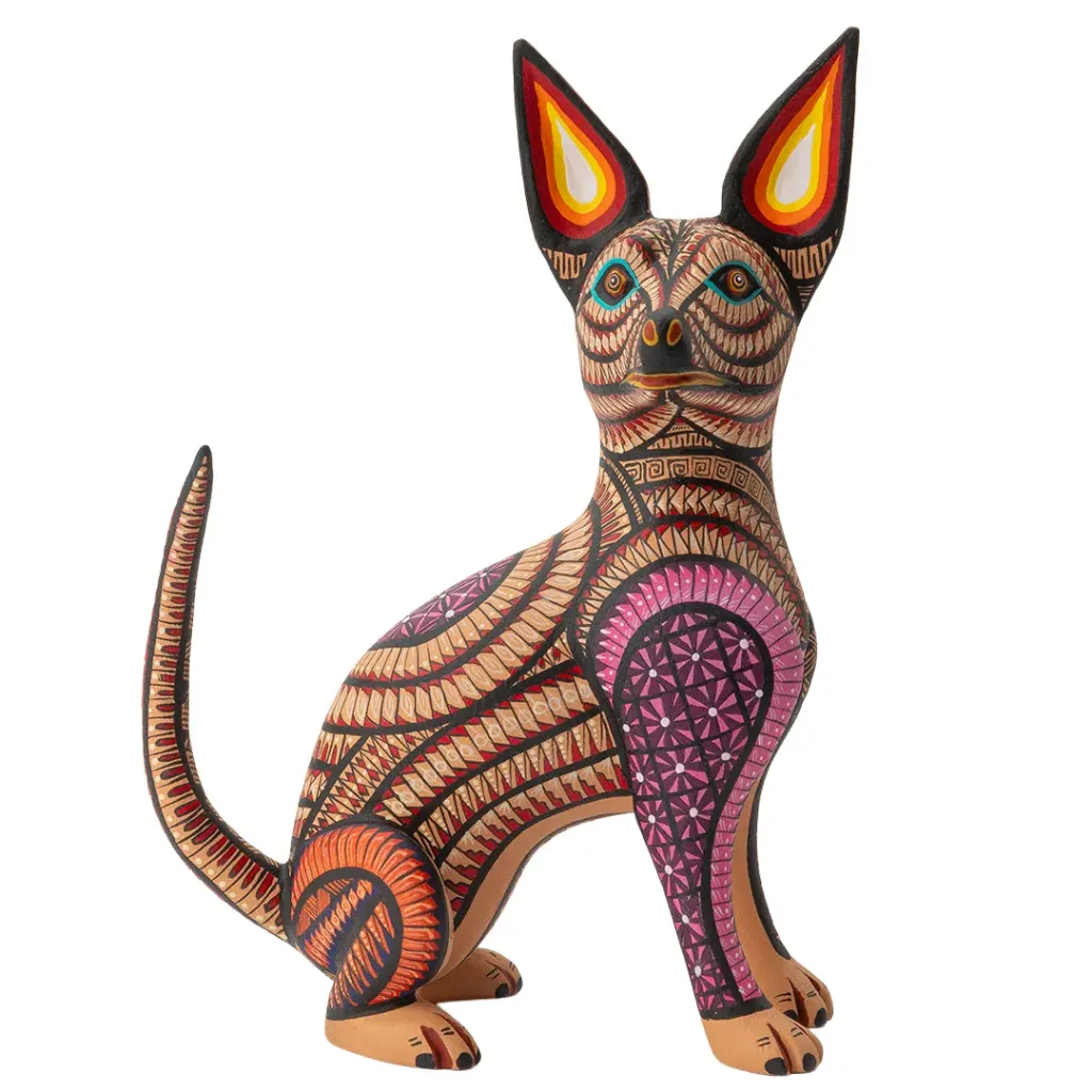 DOG #144 2026